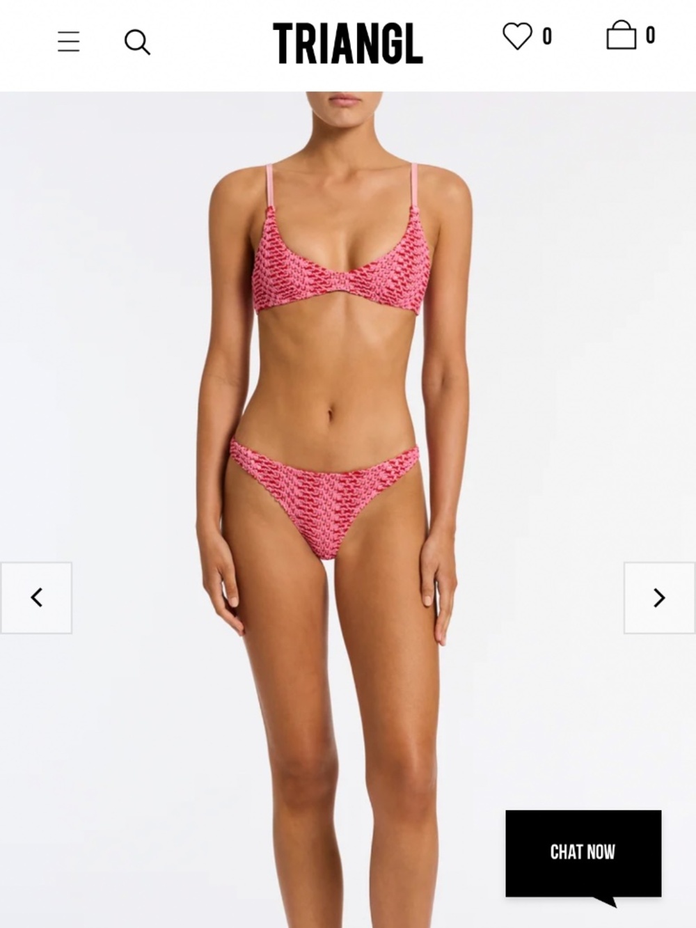 Triangl Bikini - NEVER WORN